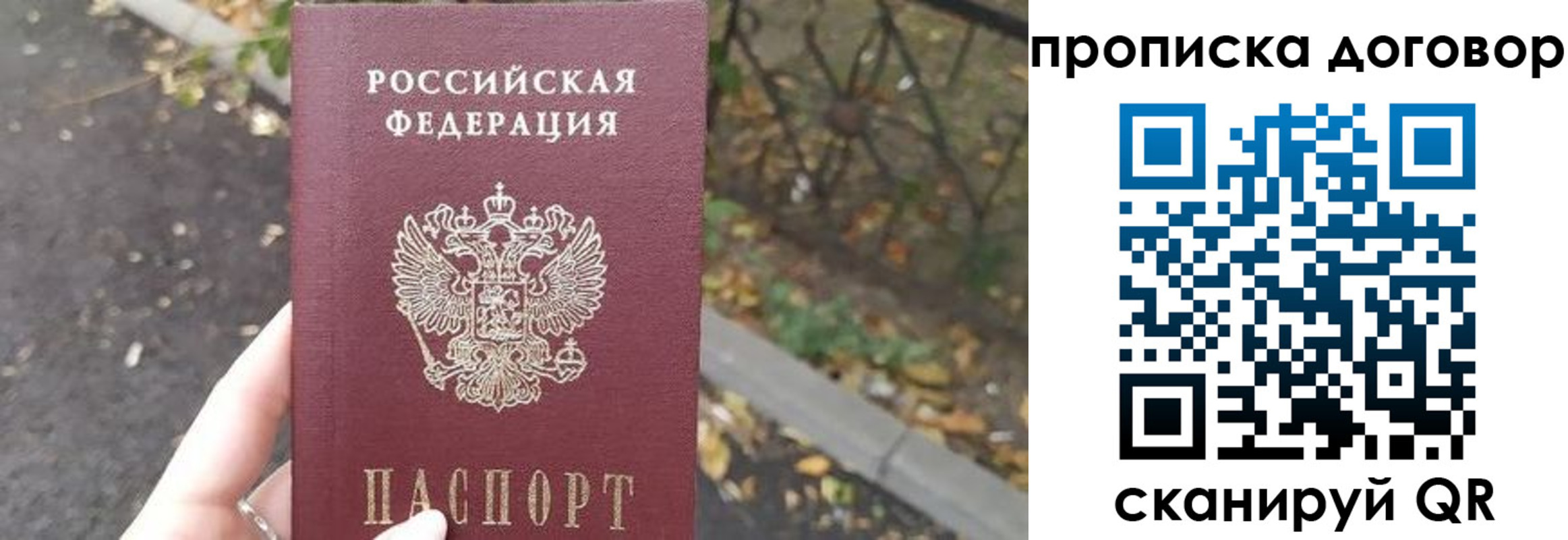 временная регистрация недорого в Калининградской области